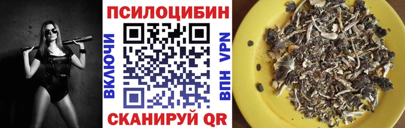 Псилоцибиновые грибы ЛСД  darknet наркотические препараты  Лангепас 