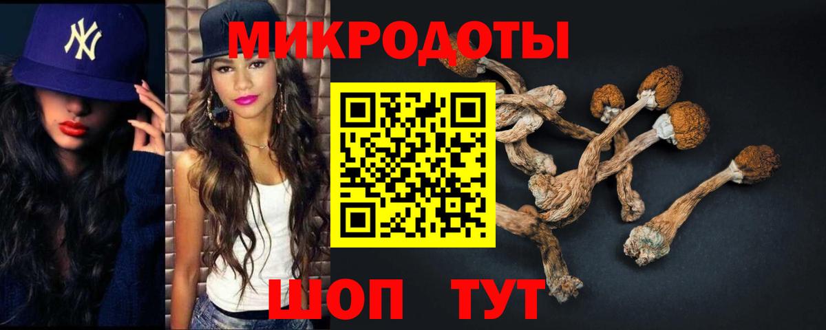 что такое наркотик  Вход с VPN  Лангепас  Псилоцибиновые грибы мицелий 